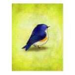 Blue Birdie Postcard
