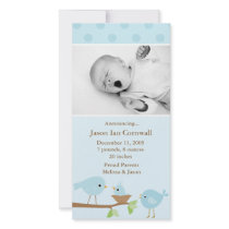 Blue Birds Birth Announcement Personalized Photo Card