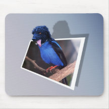 Blue boodle "Out of bounds" mousepad