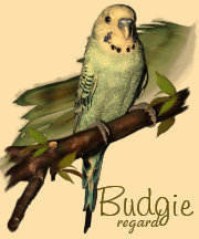Blue Budgie Art Tee