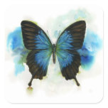 Blue Butterfly Any Occasion Stationery Square Sticker