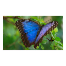 Blue Butterfly Business Card
