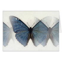 Blue Butterfly