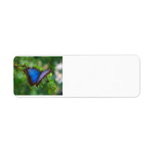 Blue Butterfly Custom Return Address Label