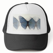 Blue Butterfly