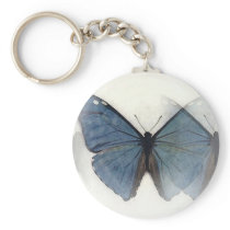 Blue Butterfly