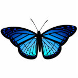 Blue butterfly magnet photo sculptures