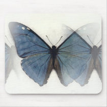 Blue Butterfly