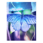 Blue Butterfly Postcard