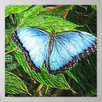 Blue Butterfly Poster