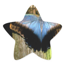 Blue Butterfly Stickers