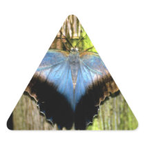 Blue Butterfly Sticker