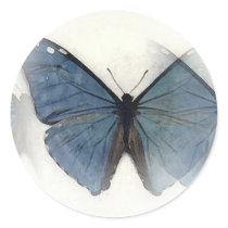 Blue Butterfly