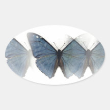 Blue Butterfly Stickers