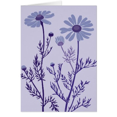 blue camomile cards by MichelineKanzy