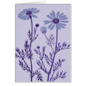 blue camomile cards