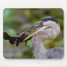 Blue Catfish Mouse Pad