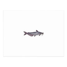 Blue Catfish (untitled) Post Card