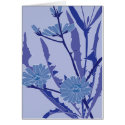 blue chicory cards