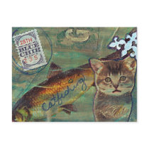 Blue Chip Catfishing Post Card