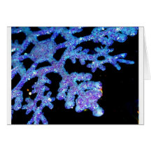 Blue Christmas Cards