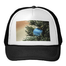 Blue Christmas Hat
