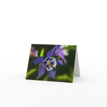 Blue columbine Greeting card