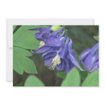 Blue Columbine Invitations