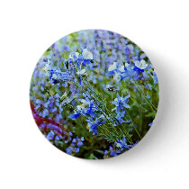 Blue Columbines - Flowers Pins