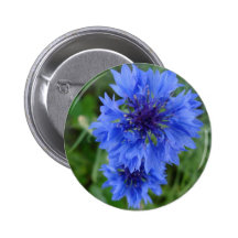 Blue Cornflower Button