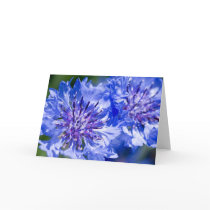 Blue Cornflower Greeting Card