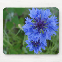 Blue Cornflower Mousepad
