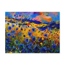blue cornflowers 0746 postcards