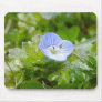 Blue Creeping Speedwell Blooms Mousepads