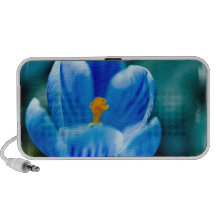 Blue Crocus Speakers