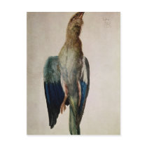 Blue Crow, 1512 Post Cards