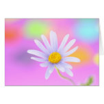 Blue Daisy Card