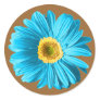 Blue Daisy Flower