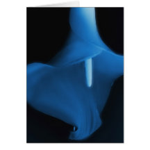 Blue dance cards