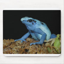 Blue Dart Frog (Dendrobates azureus).jpg Mouse Pads