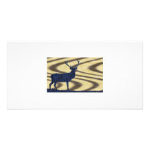 Blue Deer in walnut Photo Card