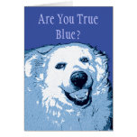 Blue Dog Democrats-Are You True Blue? Card