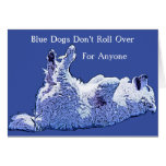 Blue Dog Democrats Don't Roll Over, For... Card