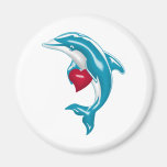 Blue Dolphin Fridge Magnets