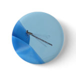 blue dragonfly pinback buttons