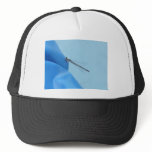 blue dragonfly mesh hats