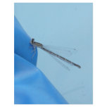 blue dragonfly letterhead