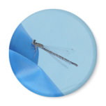 blue dragonfly fridge magnets