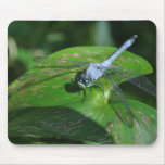 Blue dragonfly on green leaf mouse pad