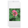 Blue dragonfly on pink flower green background custom rack cards